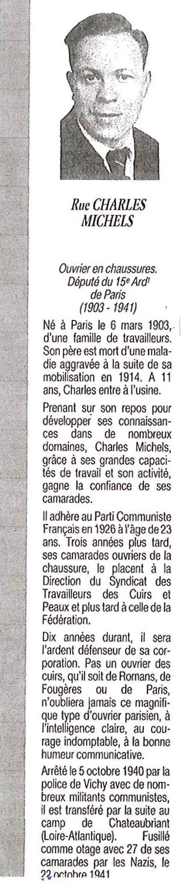 histo_michels.jpg